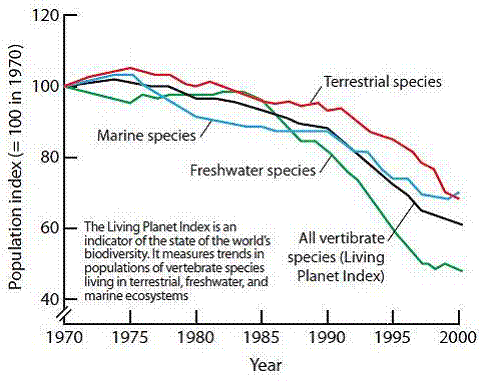 decline population biodiversity decrease